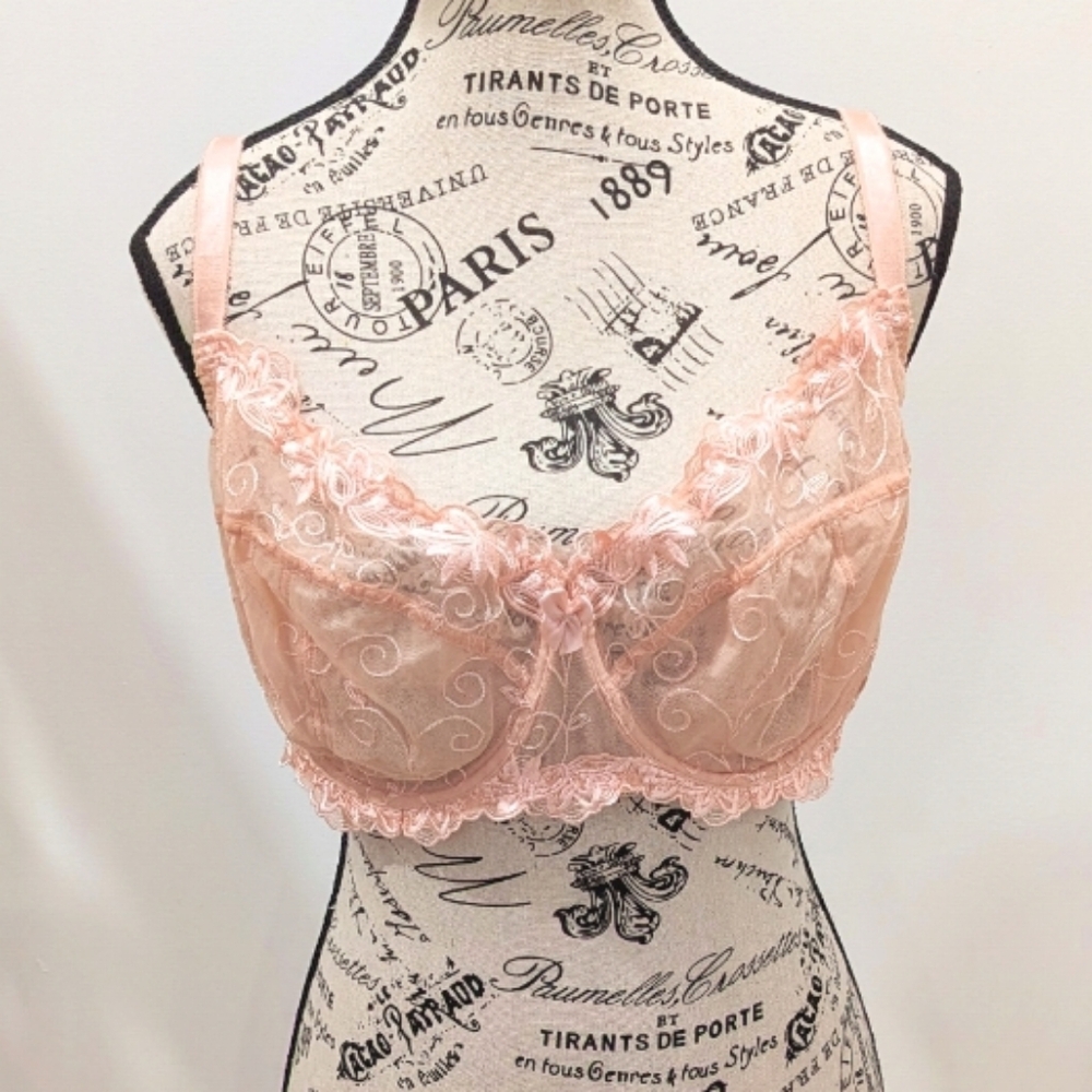 DEYLLO | Women's Pink/Nude Underwire Embroidered Unpadded Sexy Lace Bra
